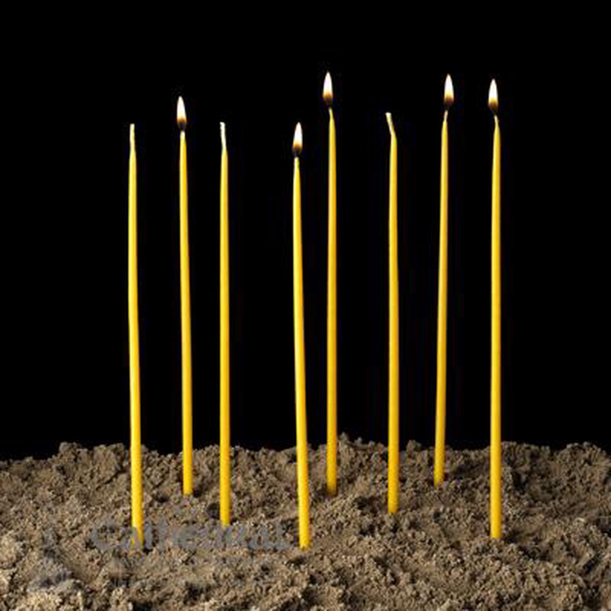 100% Beeswax Tapers 1/4" X 11"
