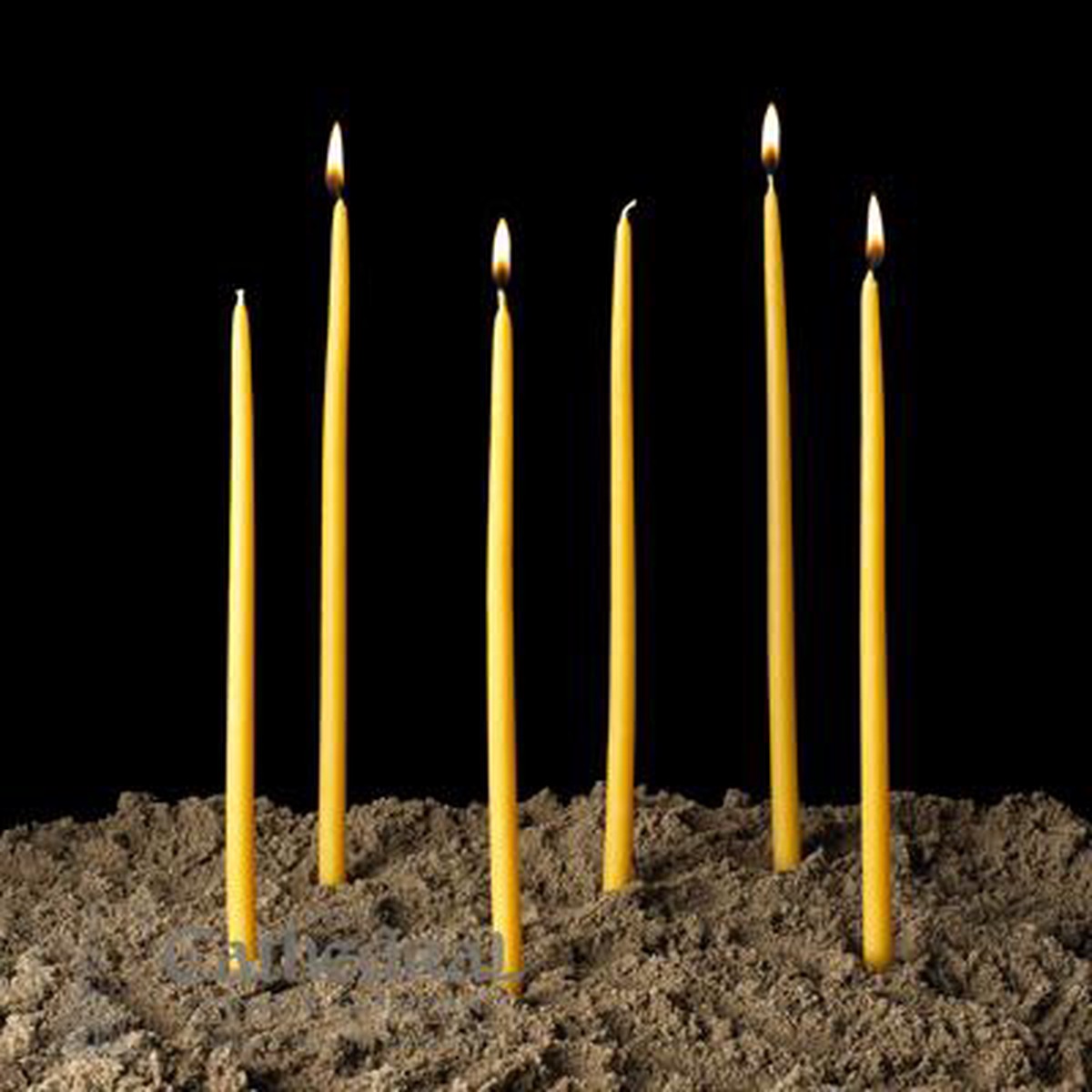 100% Beeswax Tapers 3/8" X 11"